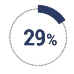29% of our team