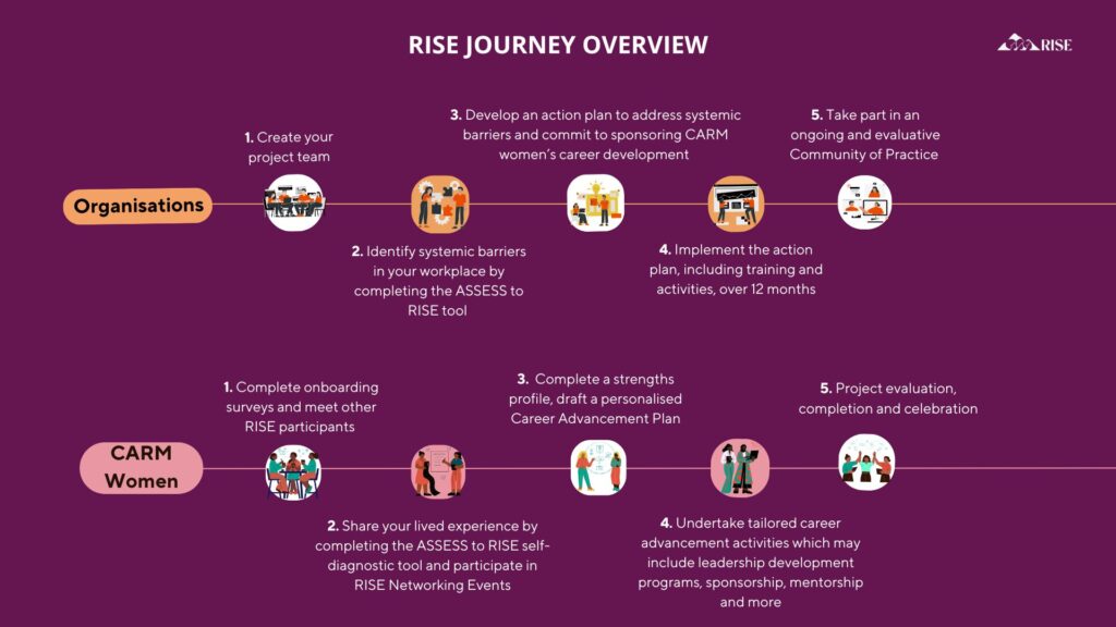 A graphic showing a timeline of the RISE Project process