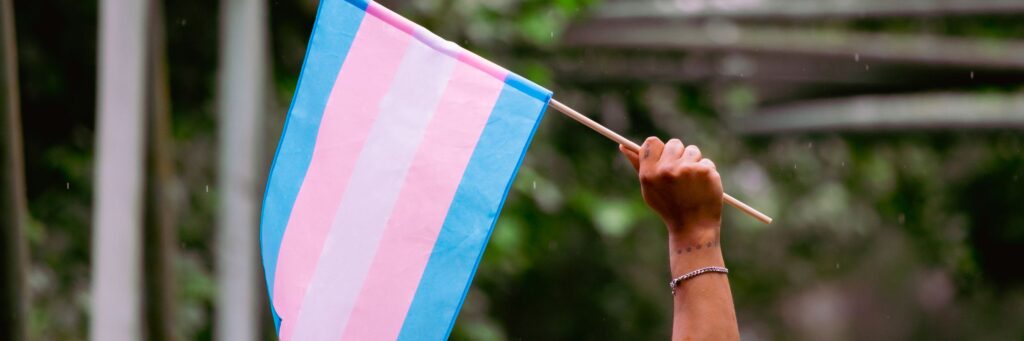 Photo of a raised hand holding up a transgender flag.