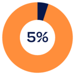 Donut chart with 5% shaded in